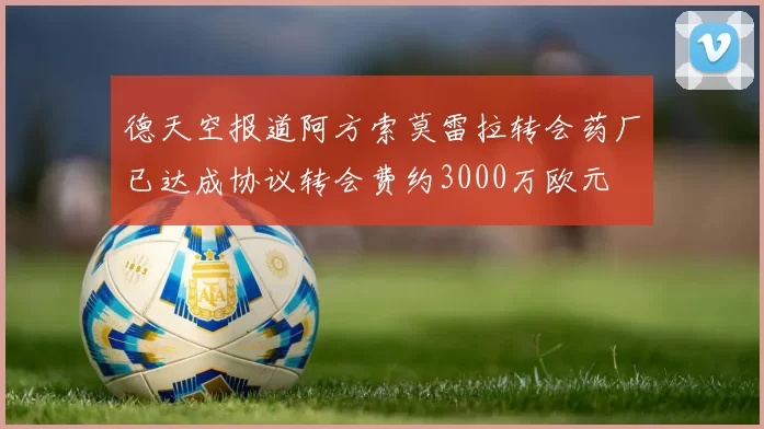 德天空报道阿方索莫雷拉转会药厂已达成协议转会费约3000万欧元